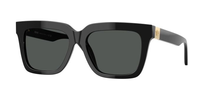 Versace  VE4498 GB1/87 Black (Dark Grey)