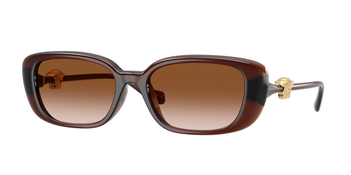 Versace VE4504D 533213 Transparent Brown (Brown Gradient)