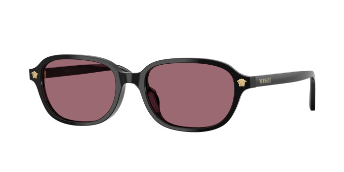 Versace  VE4514D GB1/1A Black (Violet)