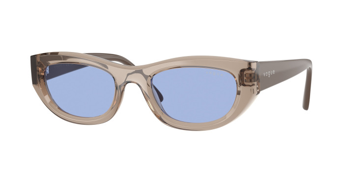 Roberto cavalli sunglasses men hotsell