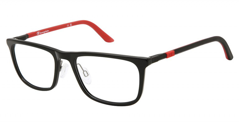 Champion Cfit 300  -