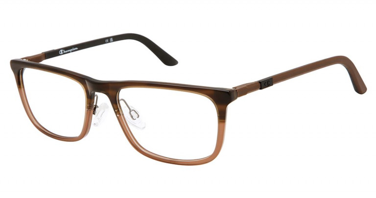 Champion Cfit 300  -