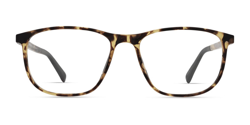 eco_columbia_tortoise