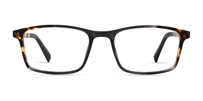 eco_flint_grey_with_tortoise_fade