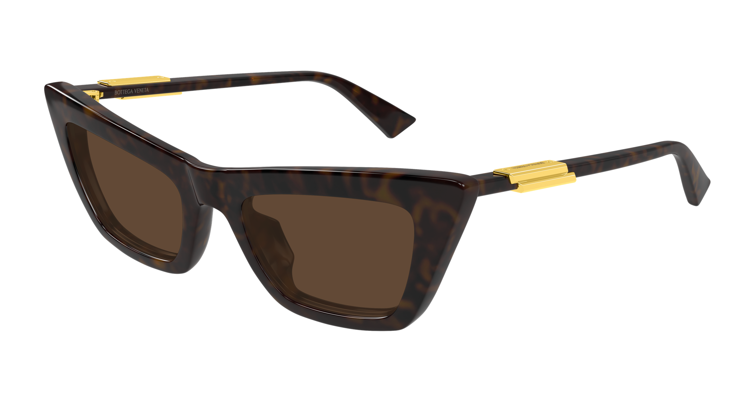 Bottega Veneta Ribbon Bv1446s