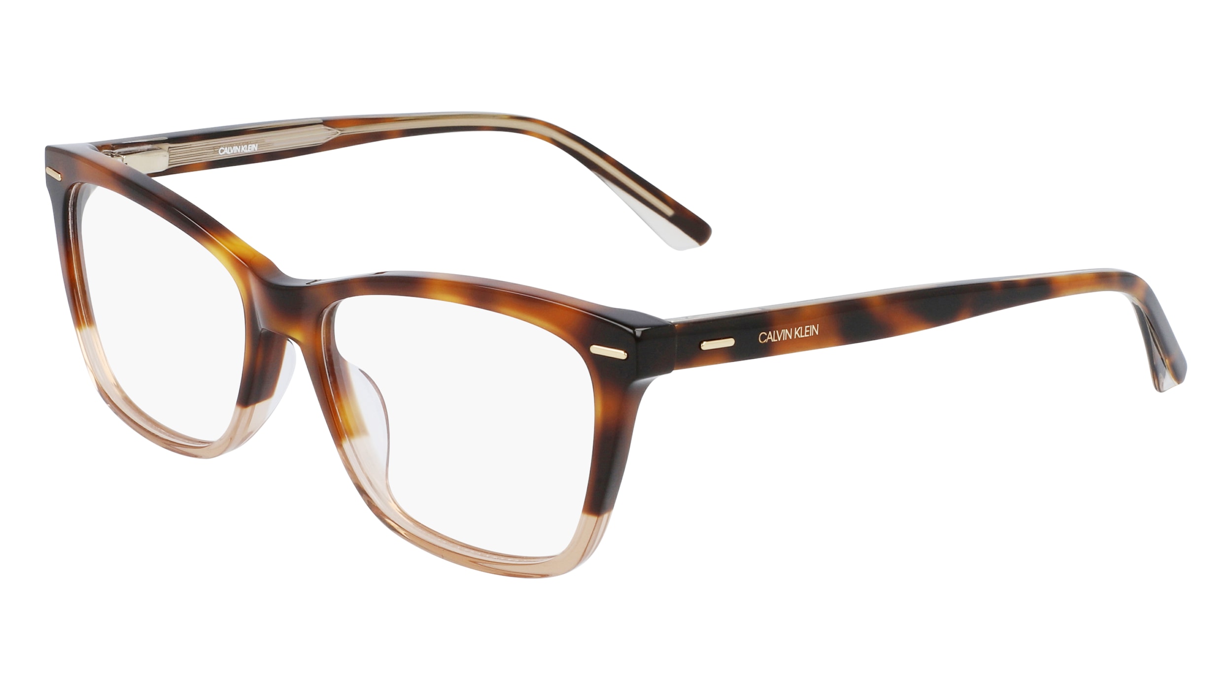 Calvin klein sale tortoise glasses