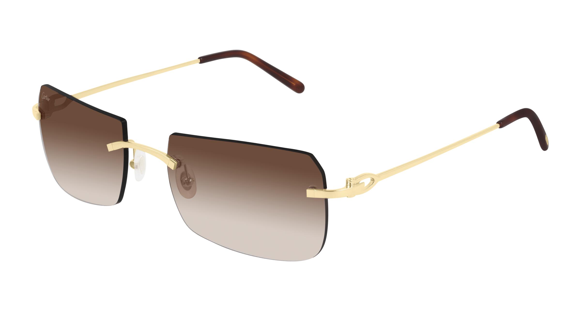 Cartier Rimlesssun CT0006RS Eye Academy