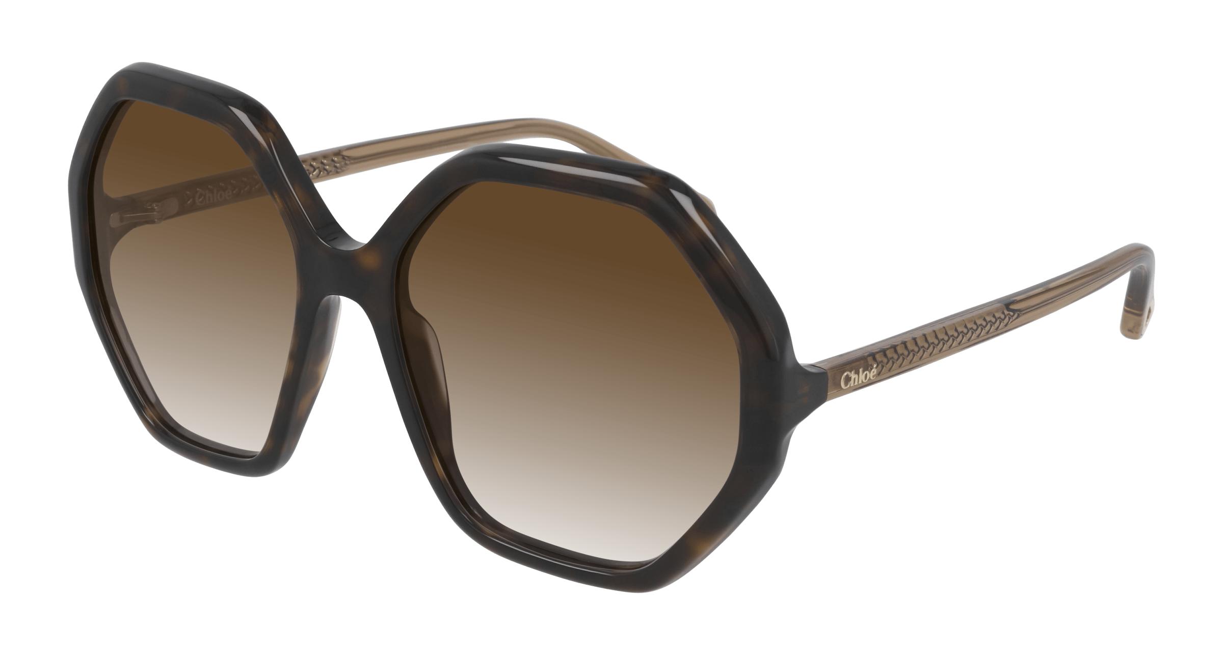 Chloe hotsell sunglasses havana