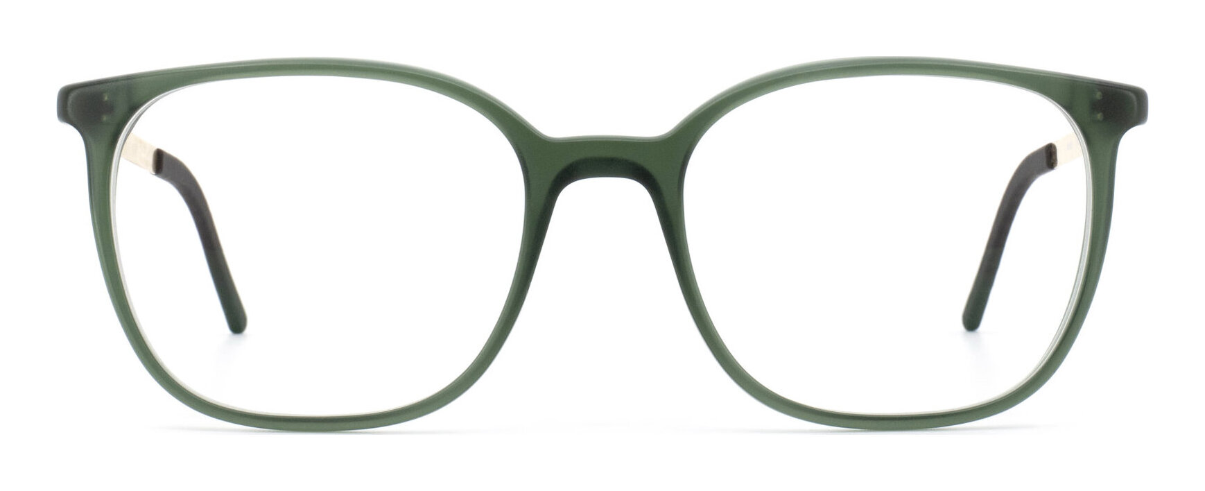 gotti_renzo_forest_green_matte__oro_shiny