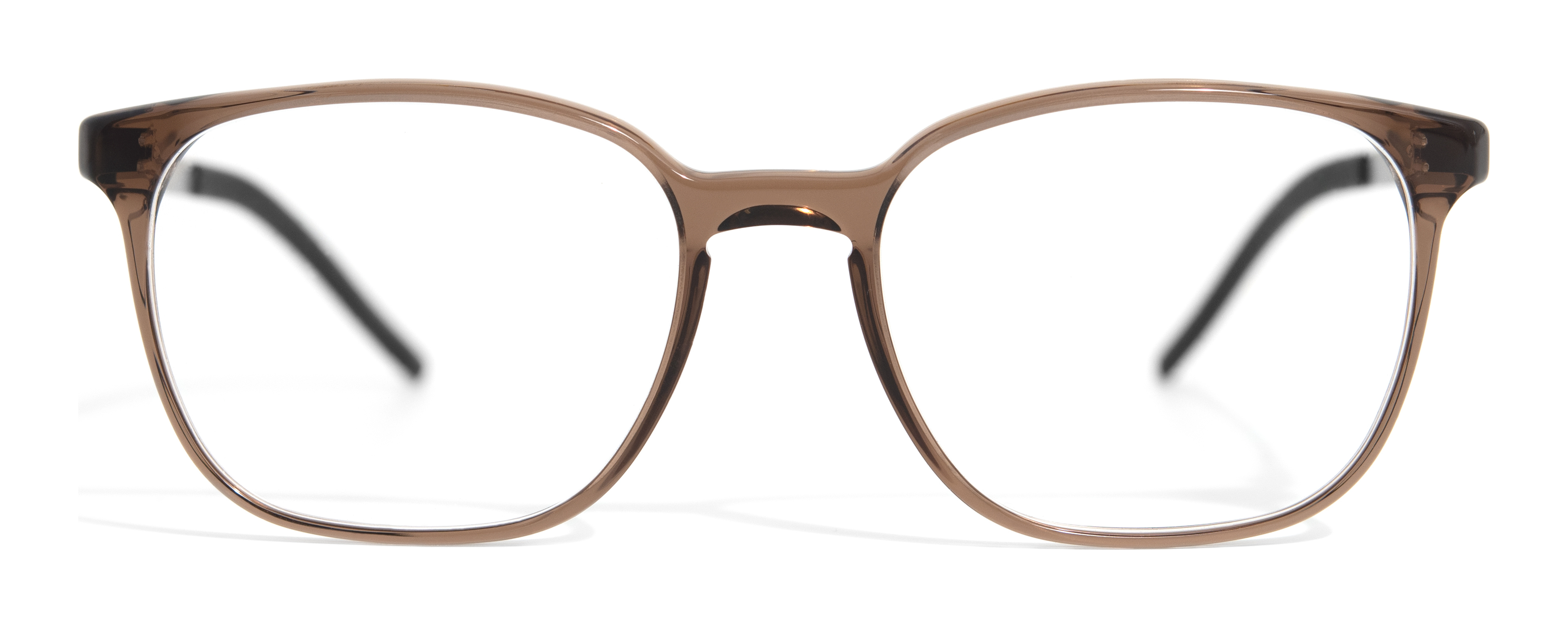 gotti_smith_transparent_dark_brown__silver