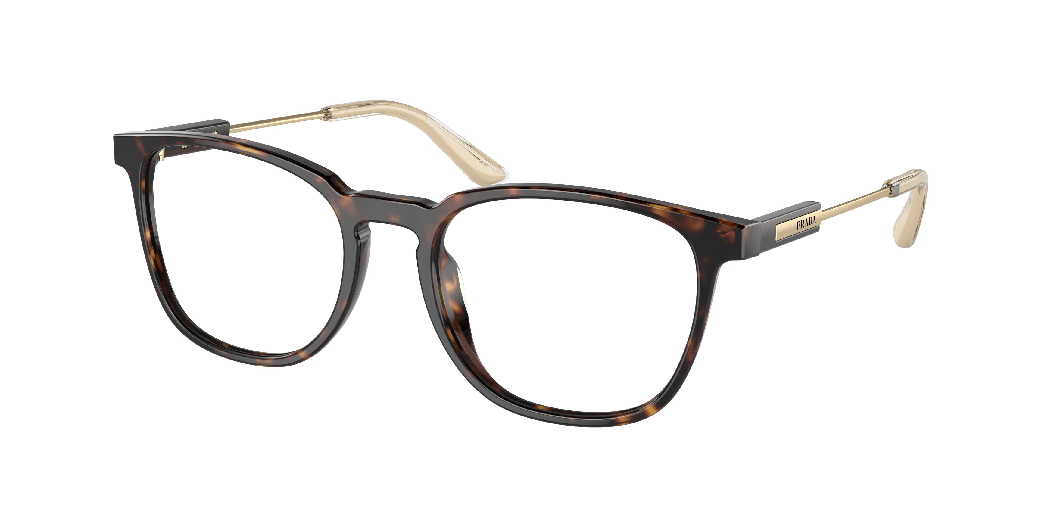 Prada hotsell havana frames