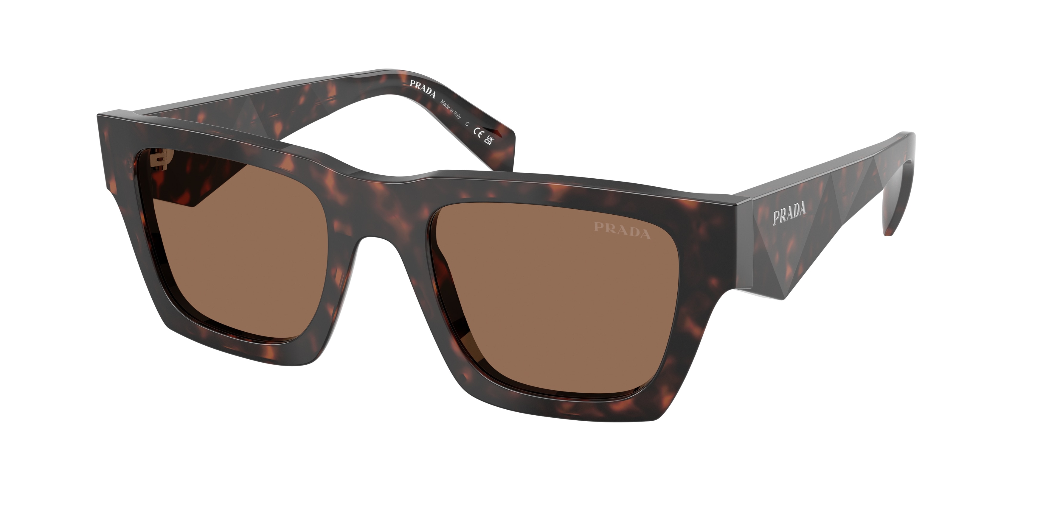 Root sunglasses new arrivals