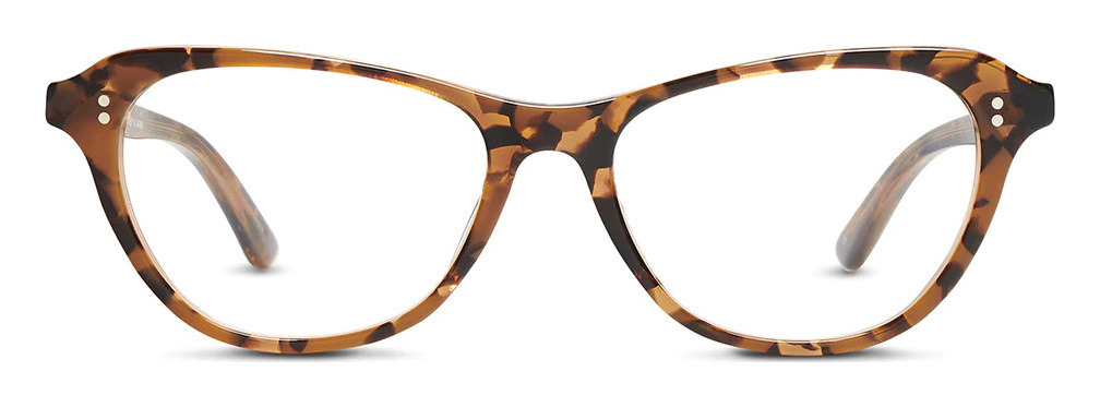salt_sandia_autumn_tortoise