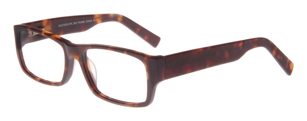 success_xpl_biz_matte_tortoise