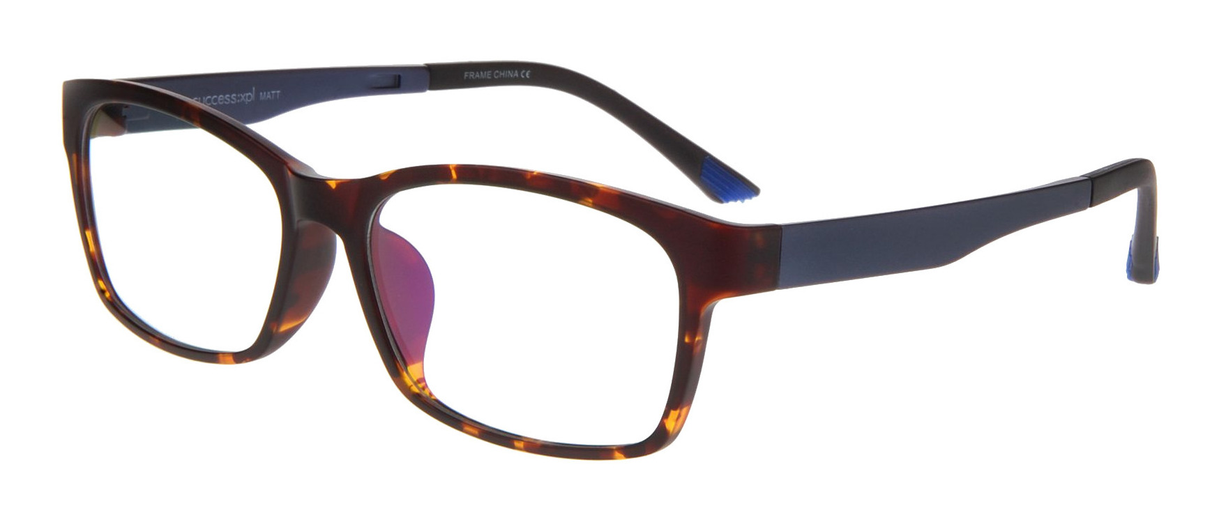 success_xpl_matt_tortoiseblue