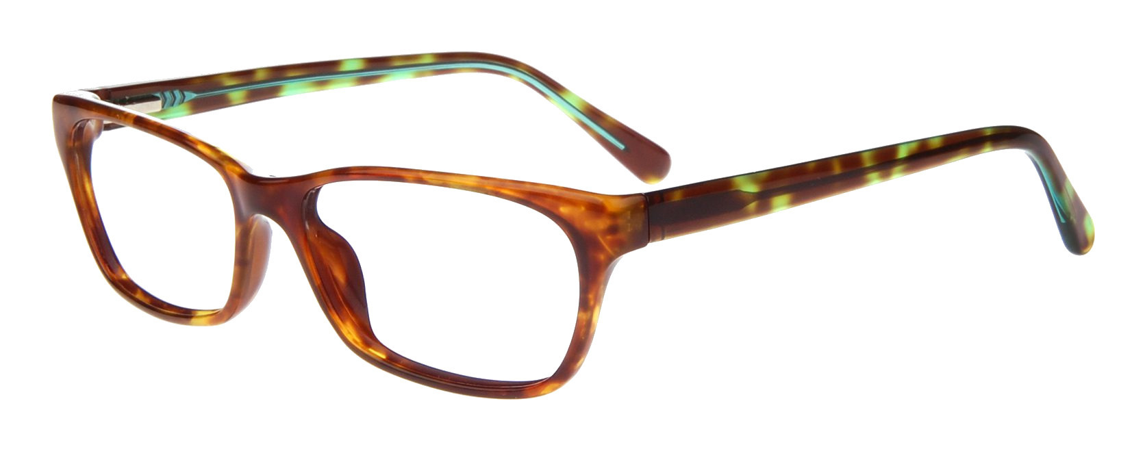 success_xpl_stephi_tortoisegreen