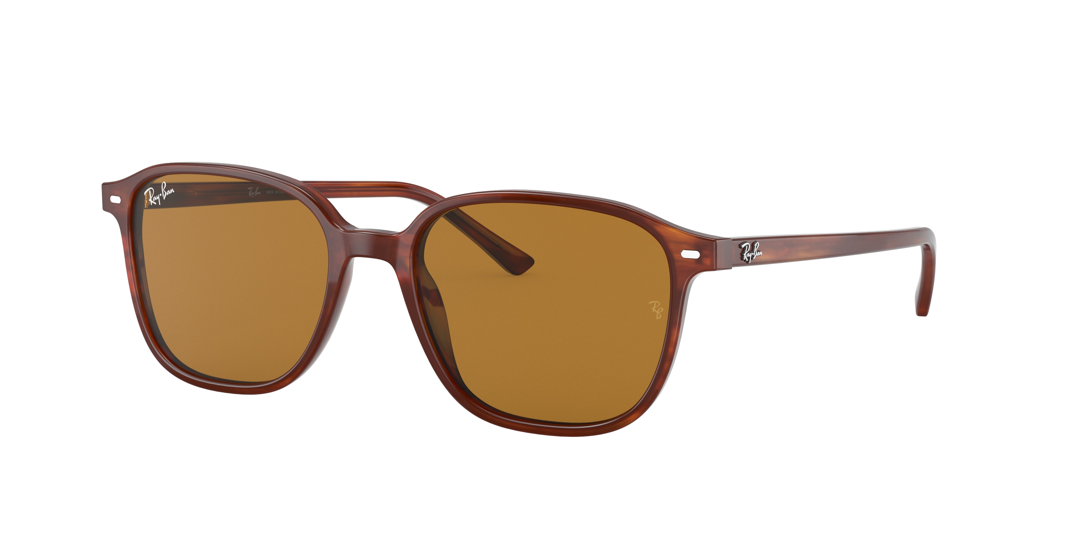 Ray-ban Leonard RB2193F