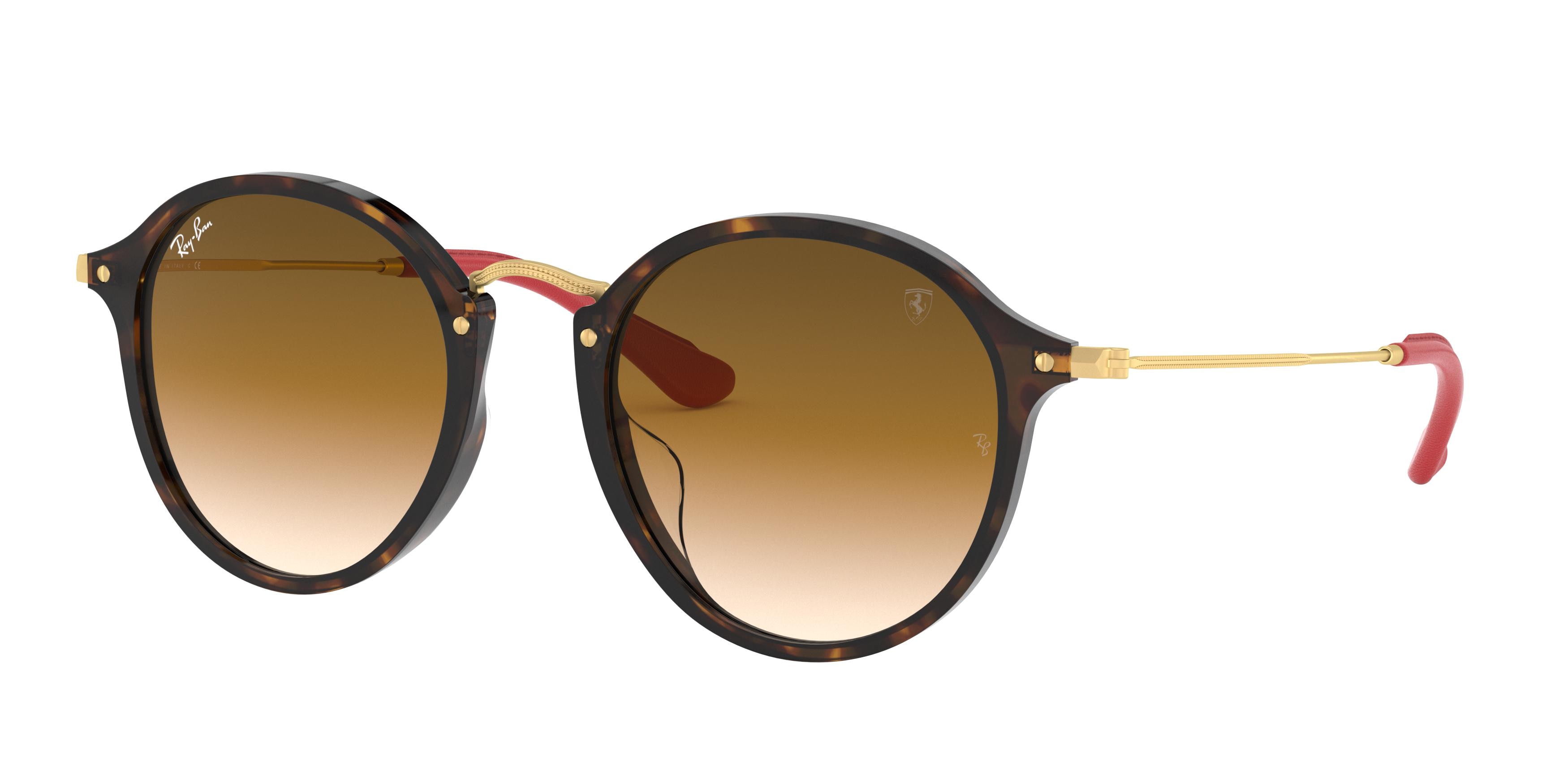 Ray-ban  RB2447MF image