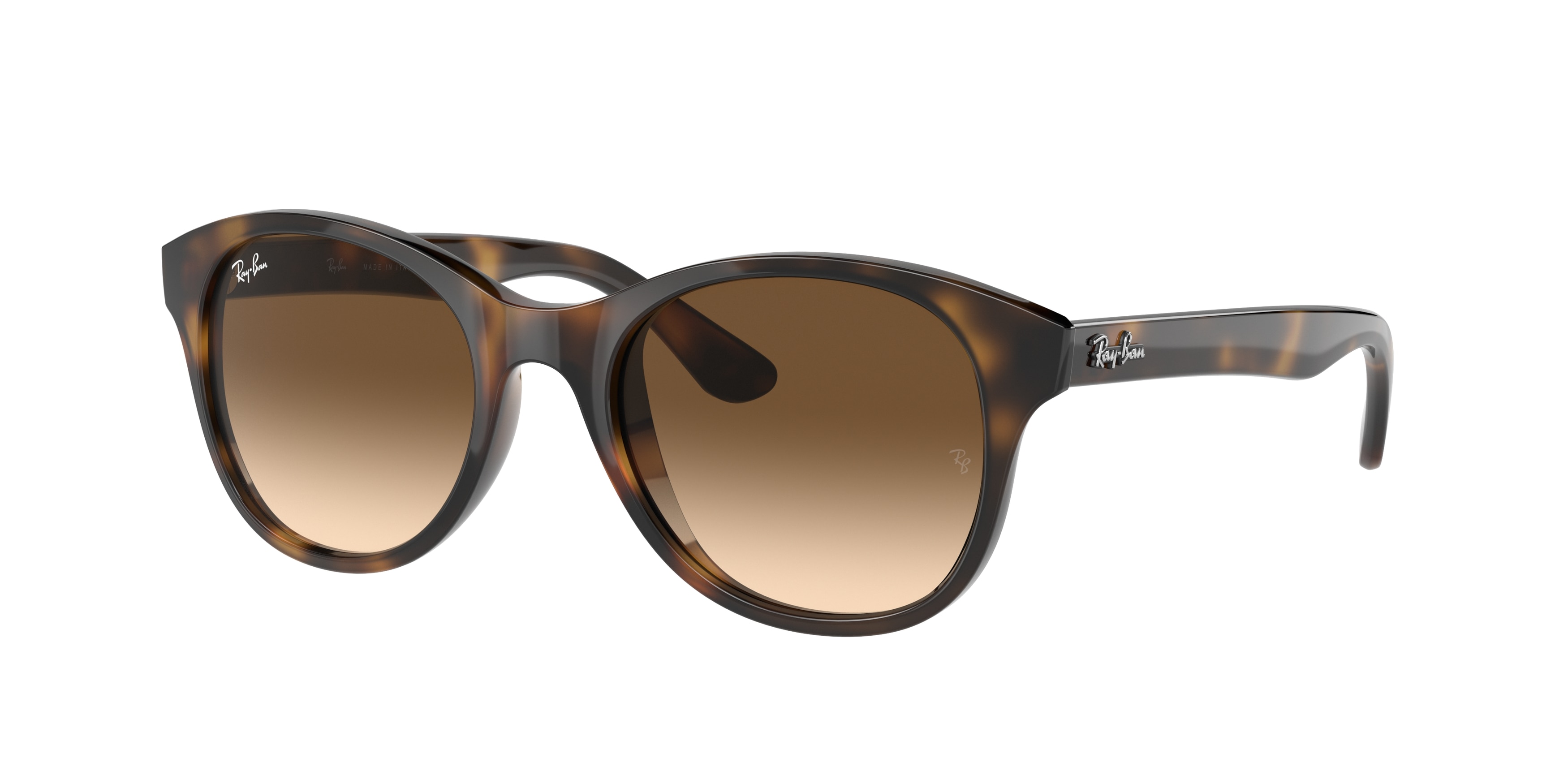 rayban_0rb4203_710_13_tortoise_ref