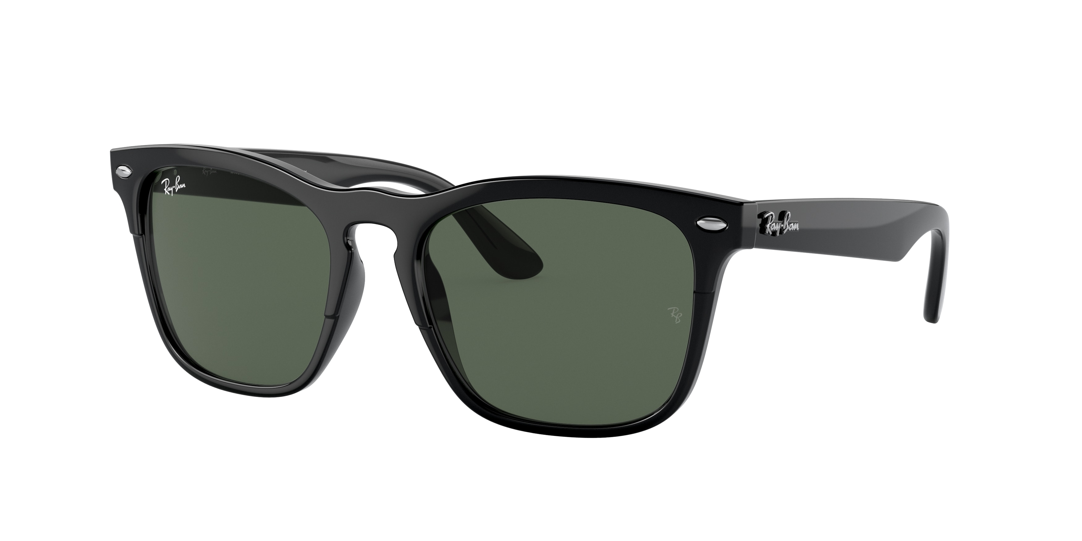 rayban_0rb4487f_662971_black_ref rayban_0rb4487f_662971_black_ref