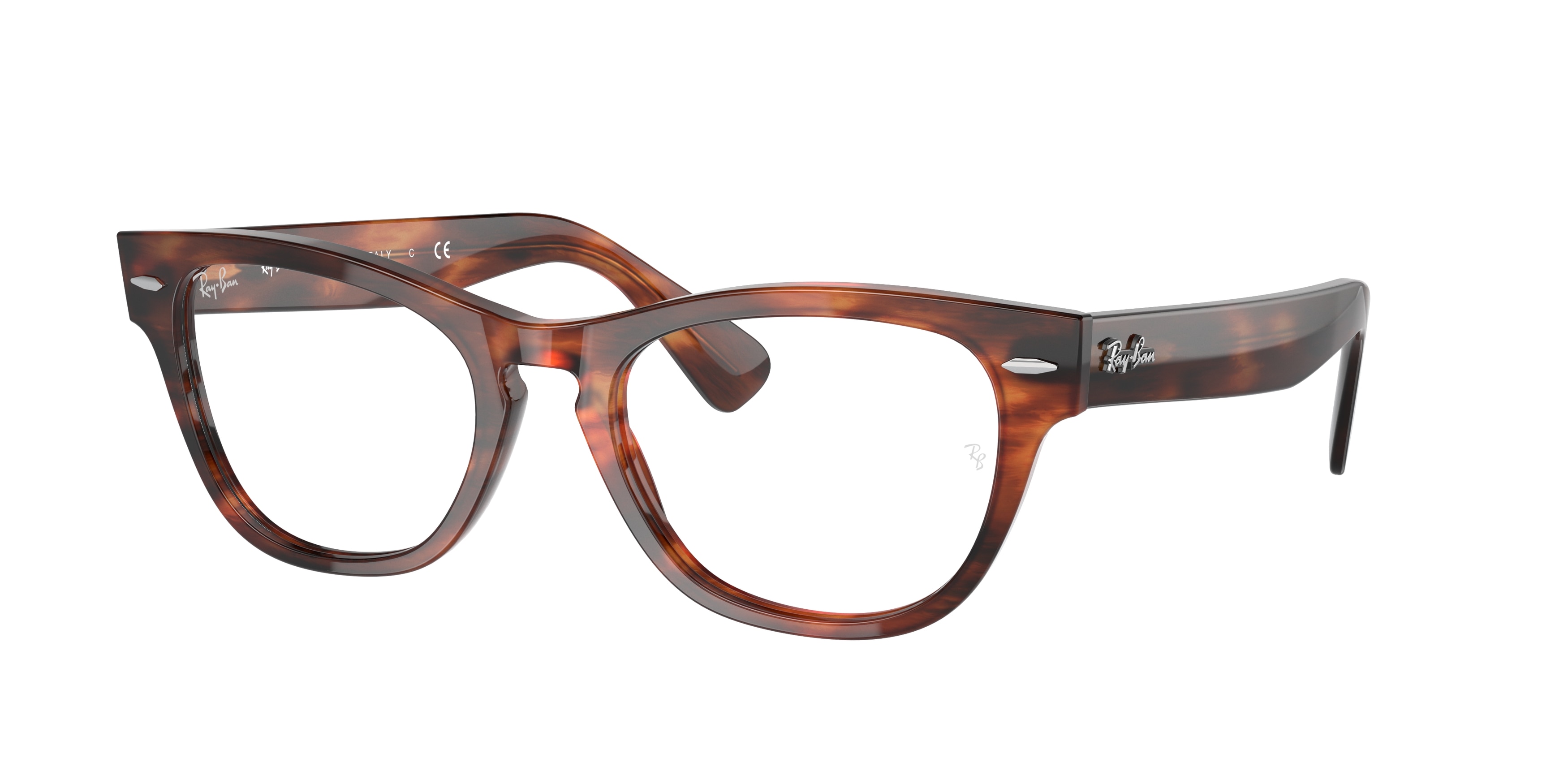 Ray-ban Laramie RX2201V image
