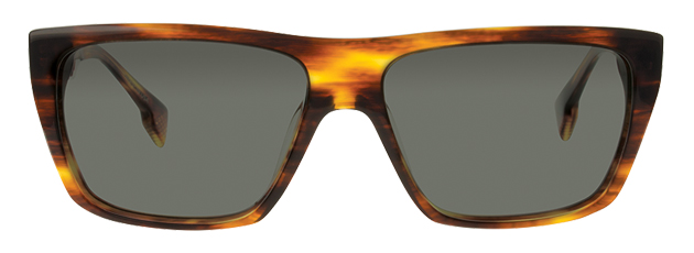 state_optical_dearborn_auburn_ref