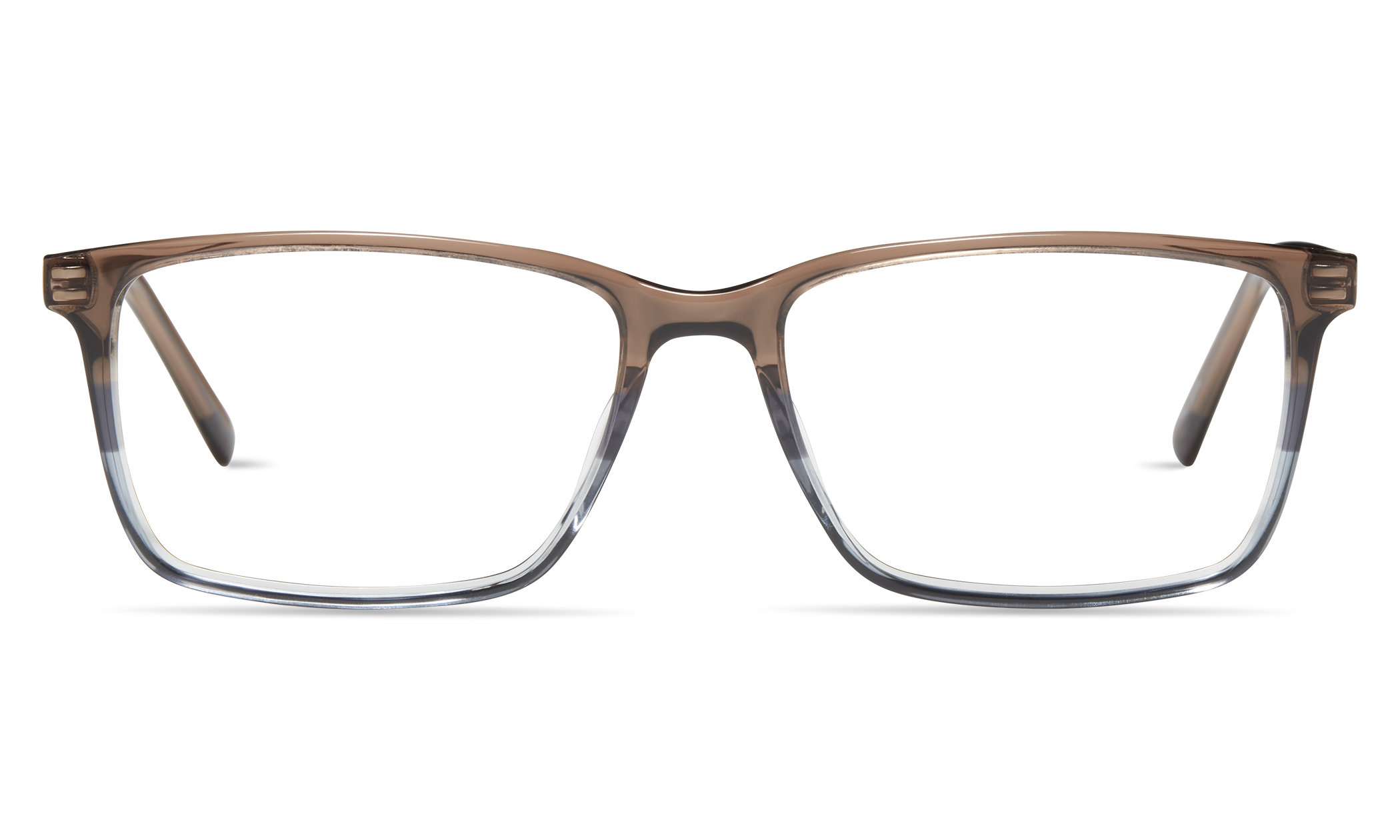 Modo 6537 - Treasure State Eye Care