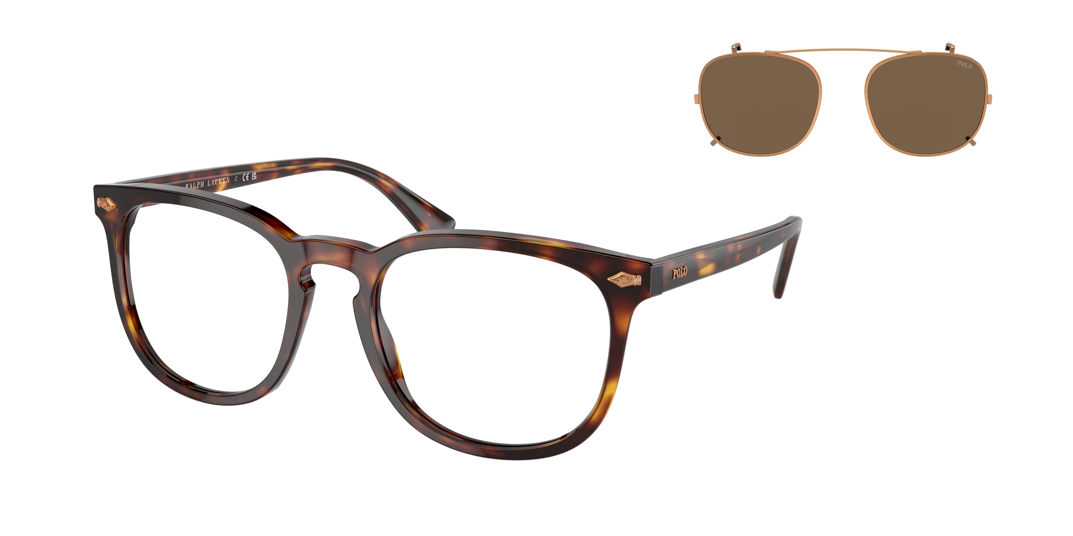 Polo Ralph Lauren  PH4214 613773 Shiny Brown Tortoise (Brown)