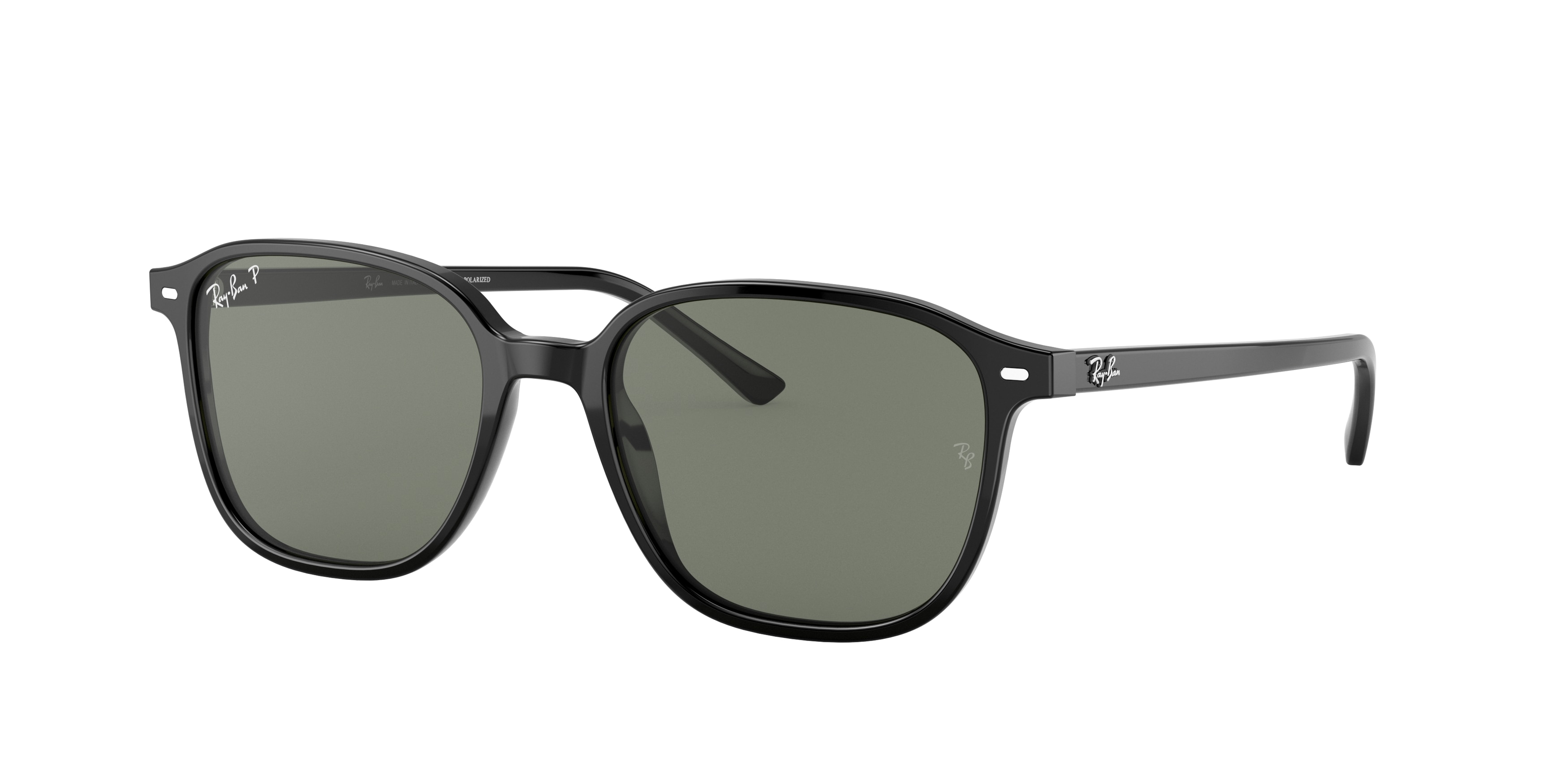 Ray-ban Leonard RB2193 901/58 Black Polarized (Polarized Green Classic G-15)