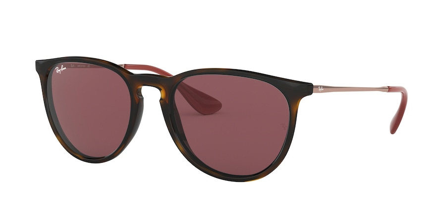 Ray-ban Erika RB4171 639175 Havana (Dark Violet)