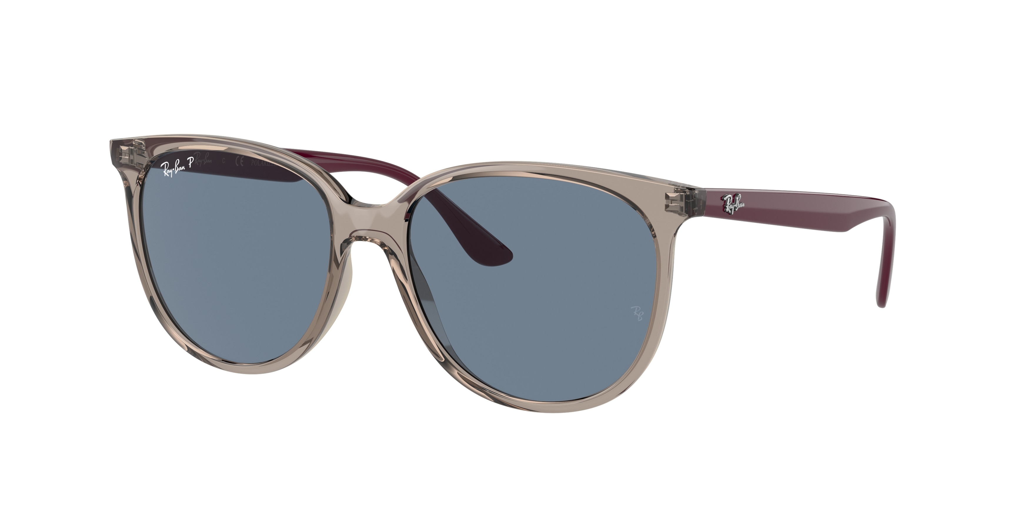 Ray-ban  RB4378 65722V Transparent Grey Polarized (Dark Blue Polar)
