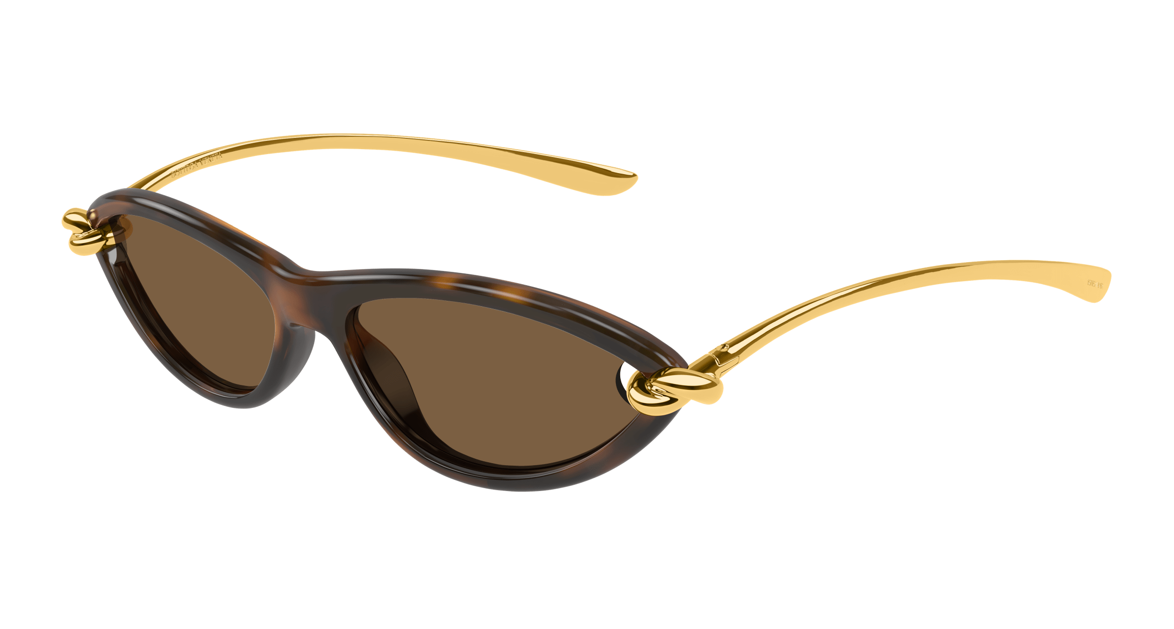 Bottega Veneta Signature Icons Bv1390s 002