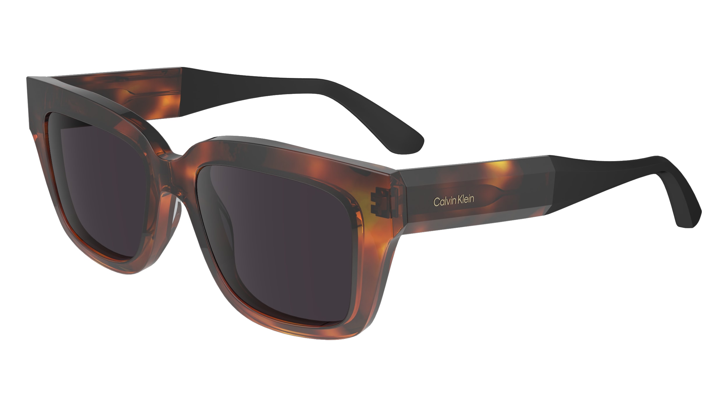 Calvin klein havana sunglasses new arrivals