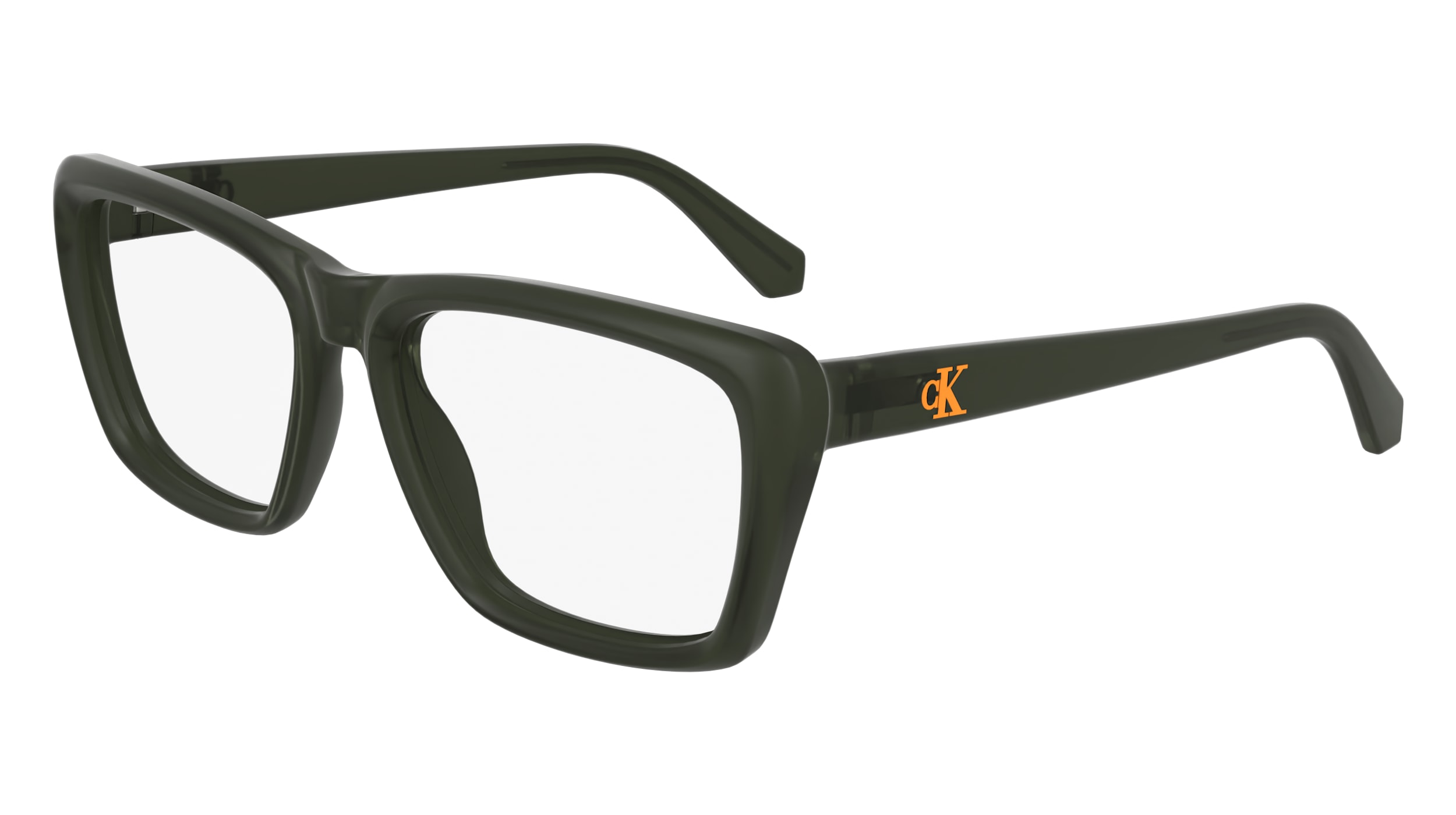 Buy Calvin Klein Jeans Khaki Glasses Online