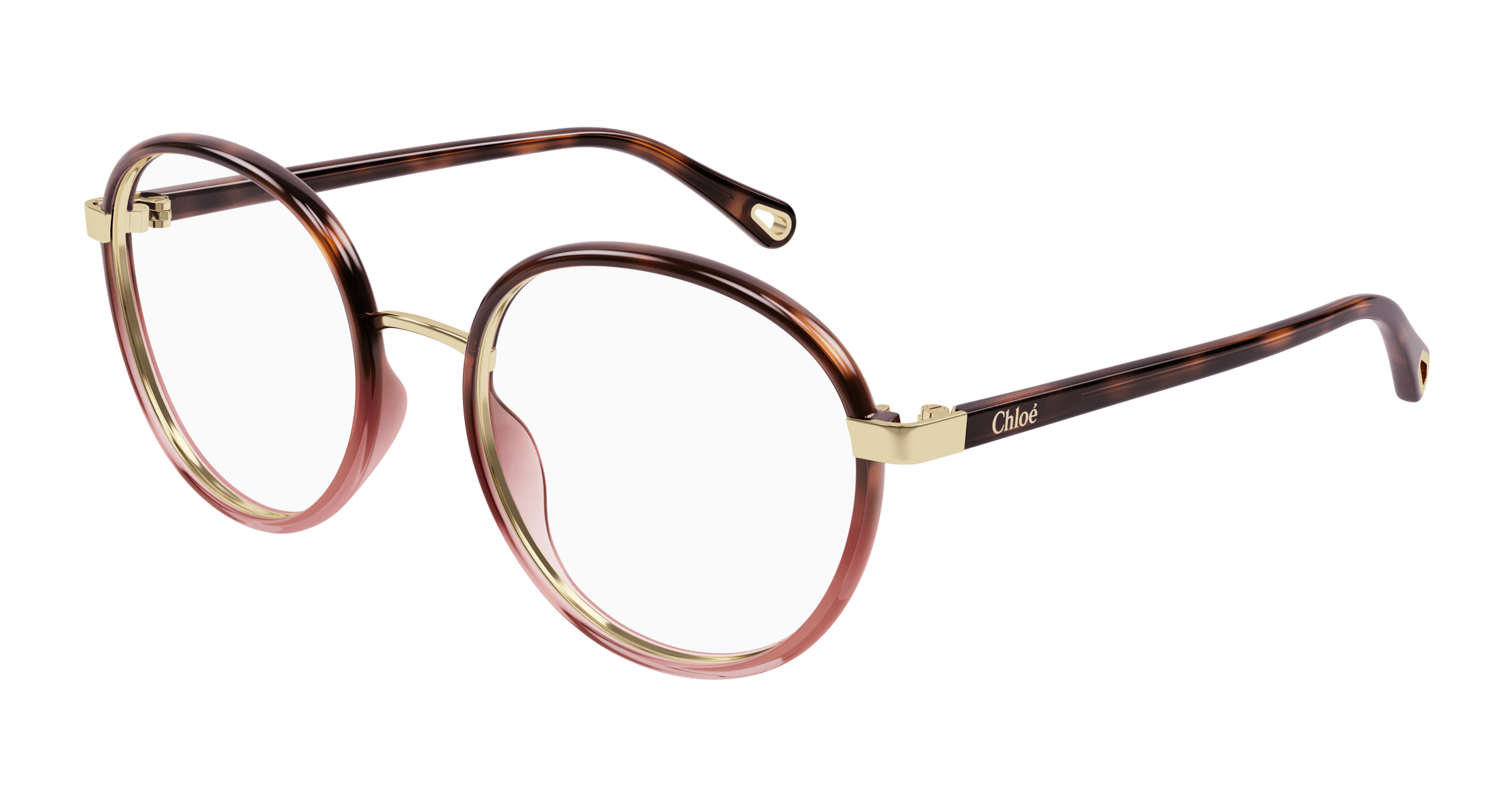 Buy Chloe Havana (010) Glasses Online