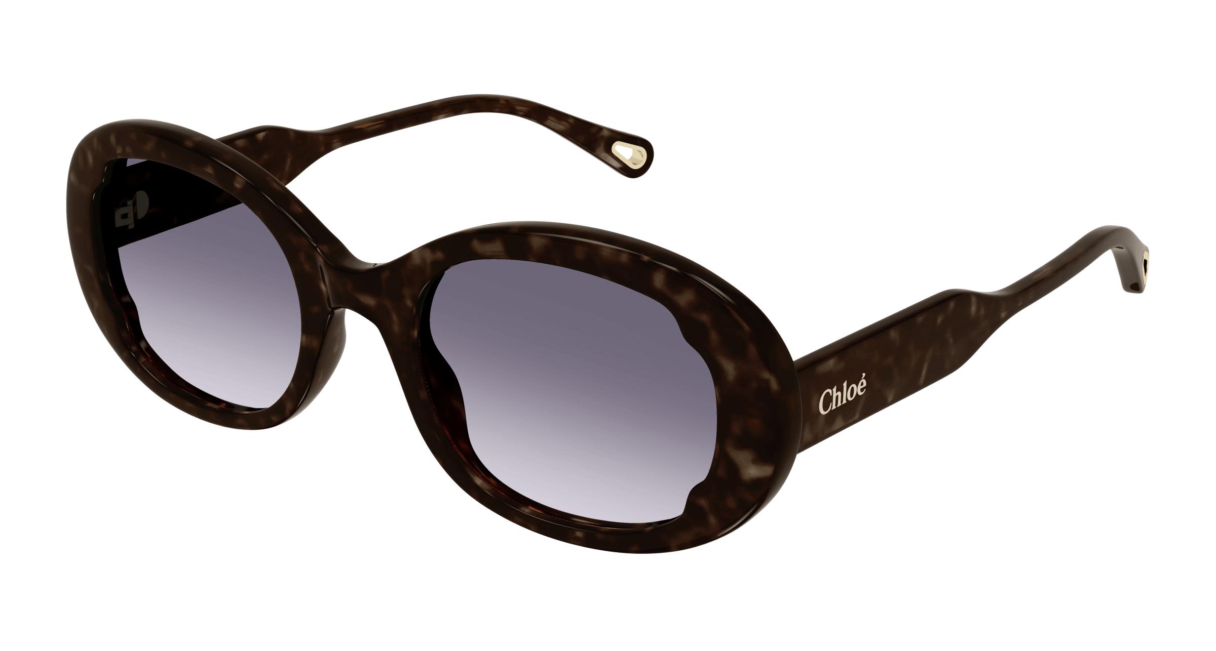 Chloe sunglasses havana hotsell