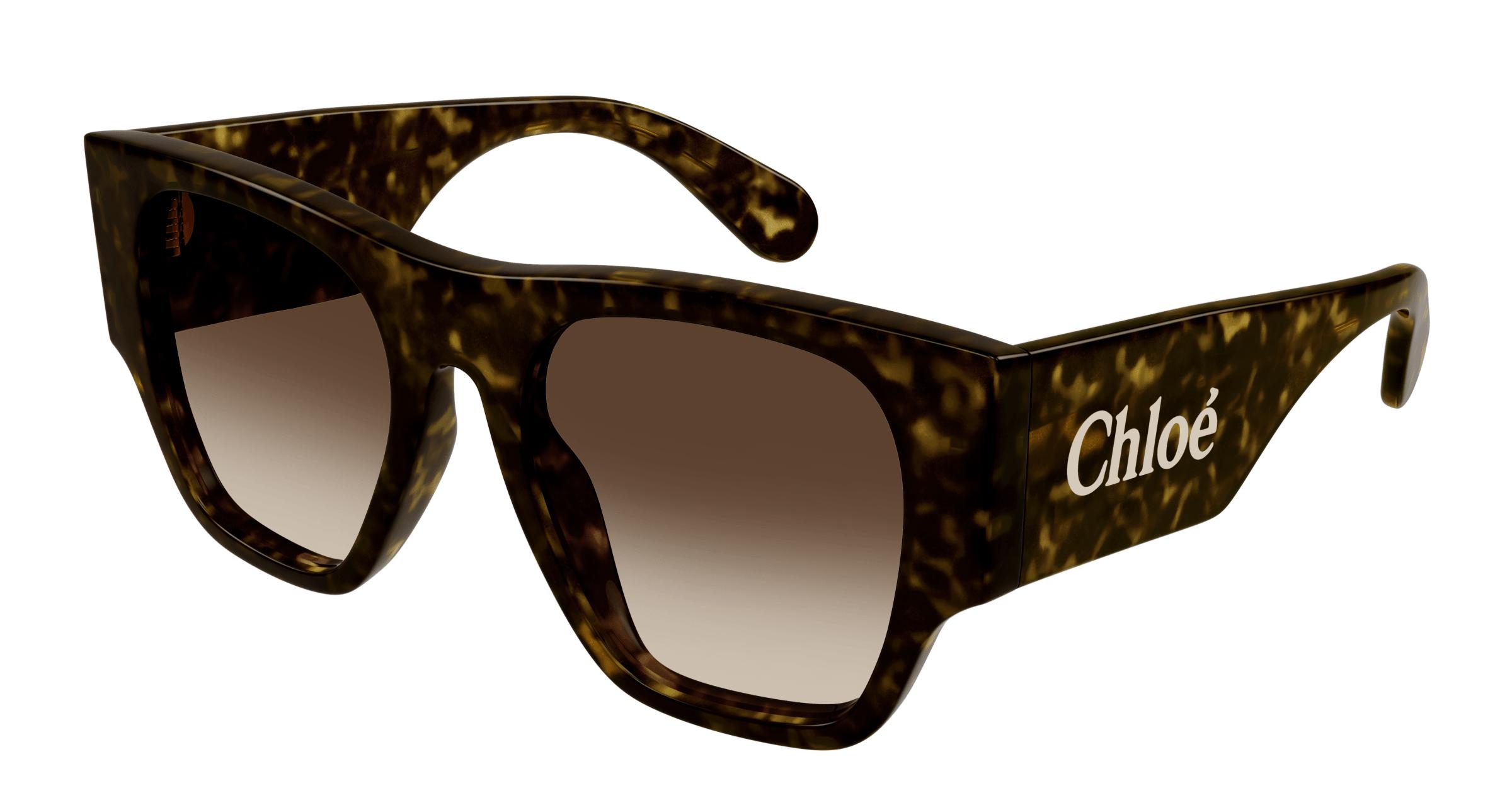 Chloe polarized sunglasses shop