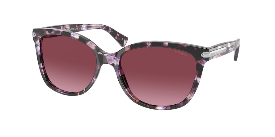 Coach 8132 sunglasses cheap
