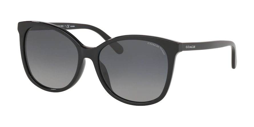 Coach women's polarized sunglasses shop