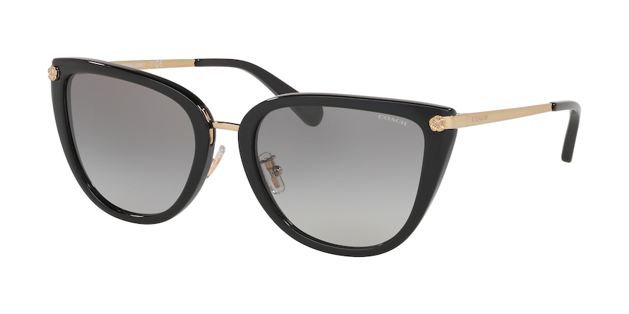 Coach sunglasses 500211 clearance