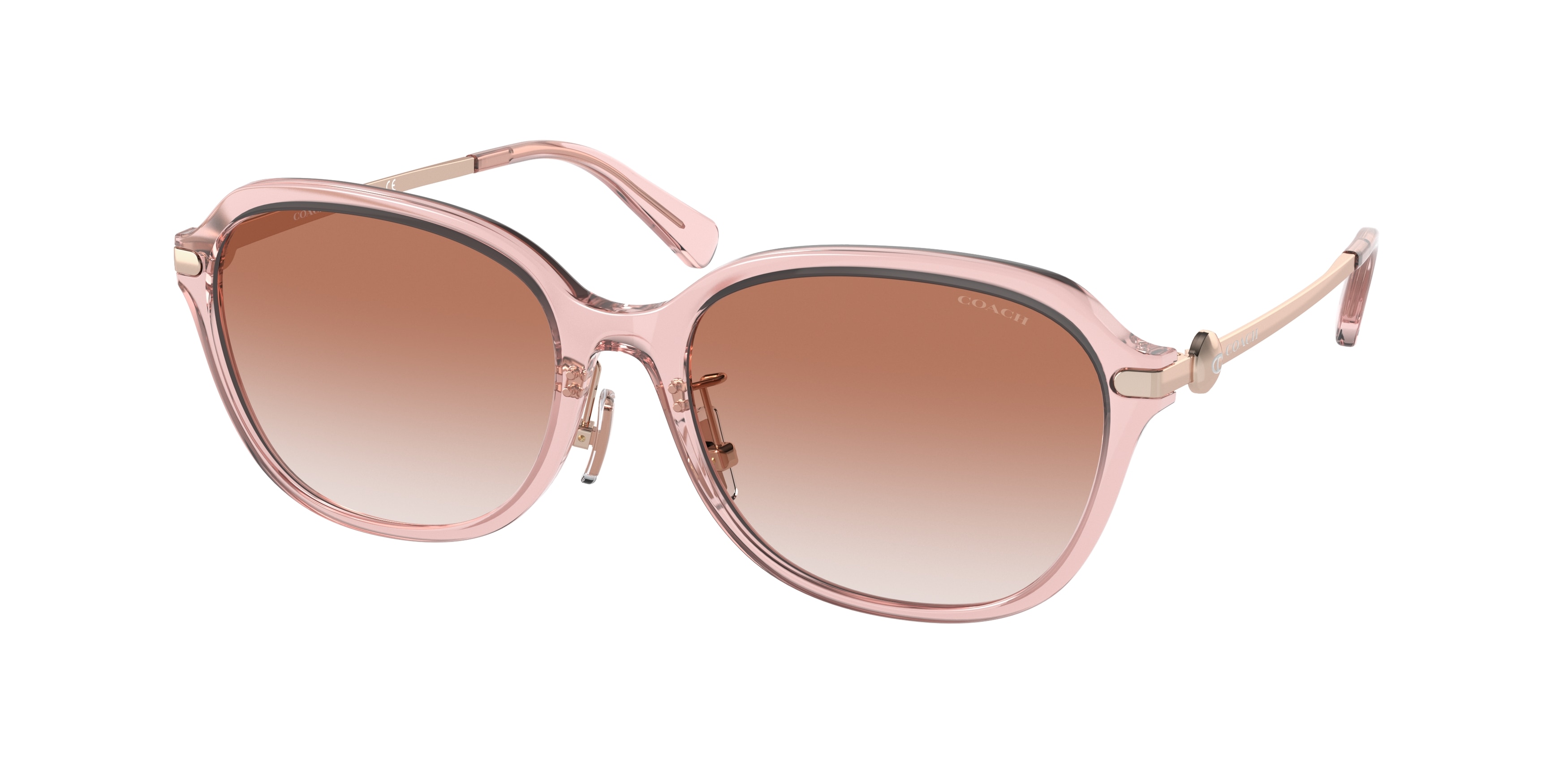 Coach shades price new arrivals