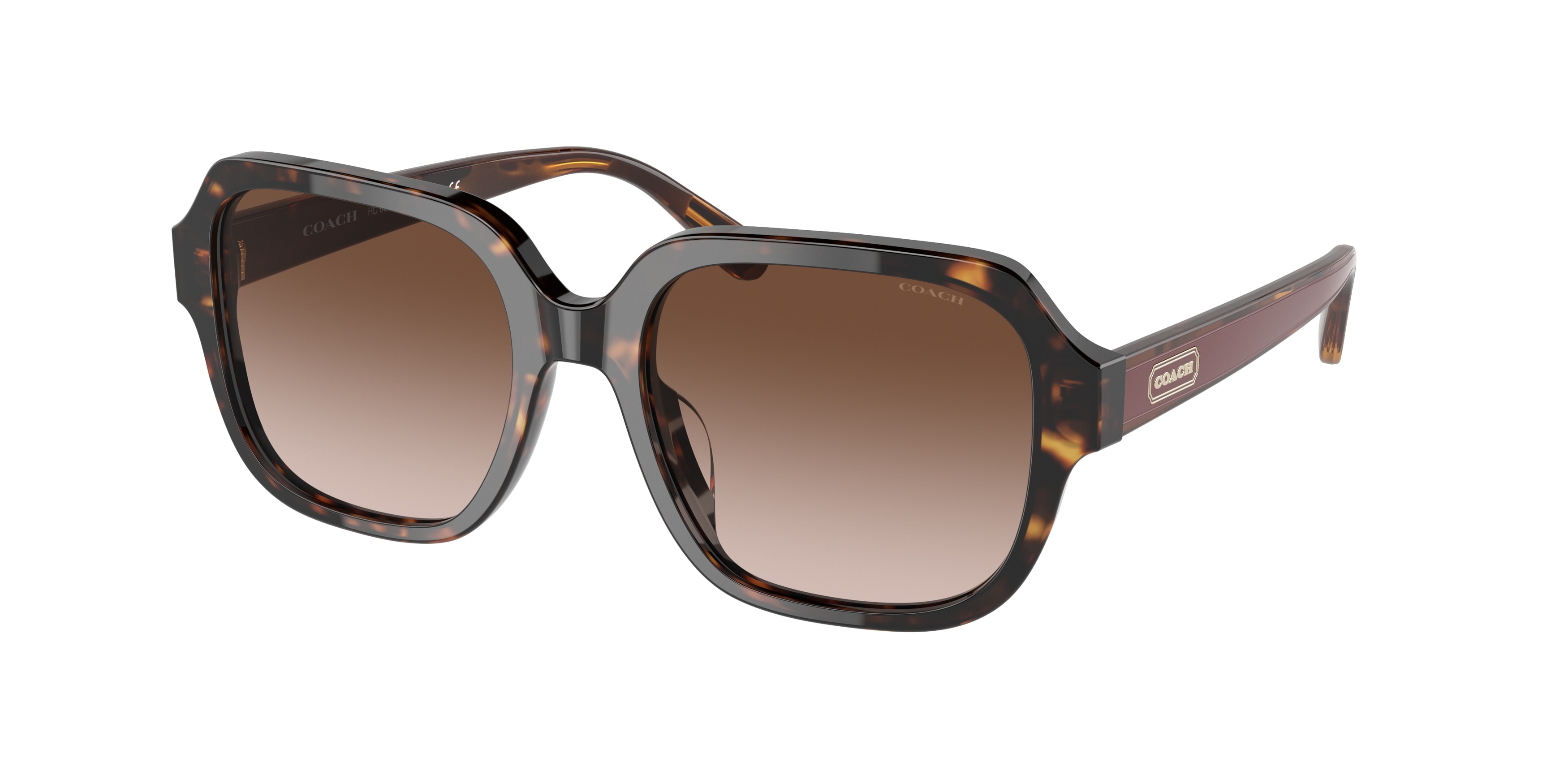 Coach dark tortoise sunglasses cheap
