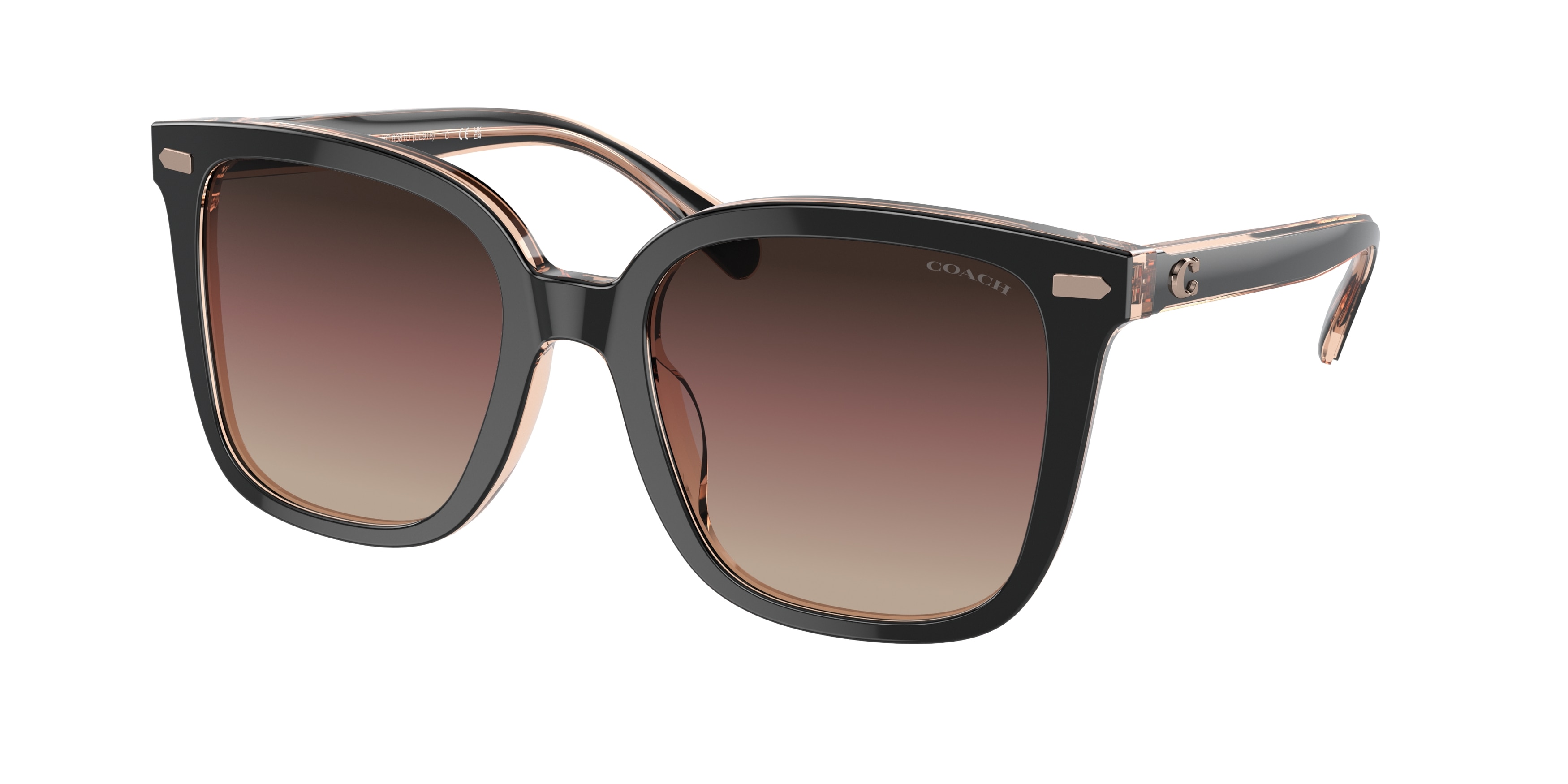 Coach sunglasses warranty discount