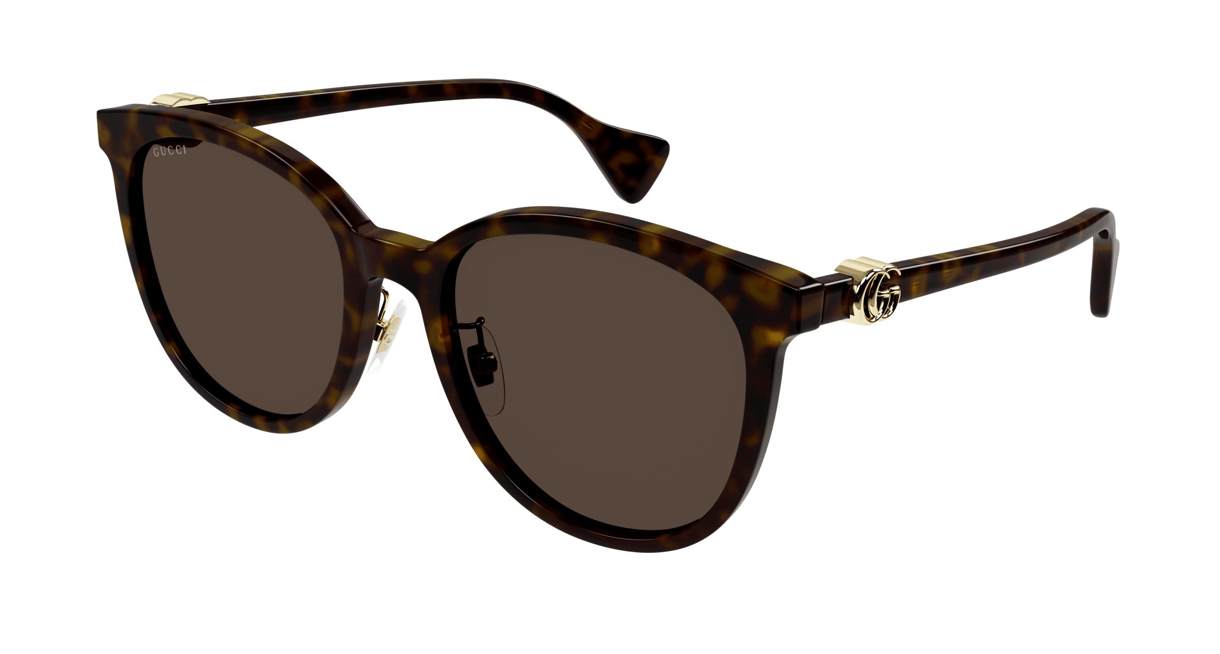Gucci dark havana sunglasses clearance