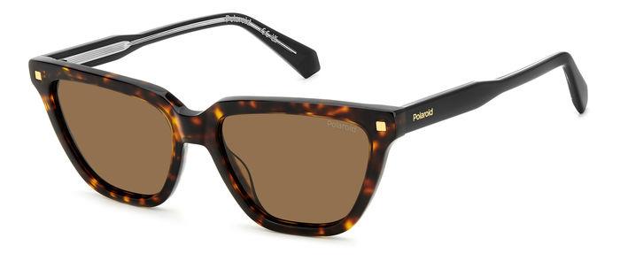 Polaroid on sale havana sunglasses