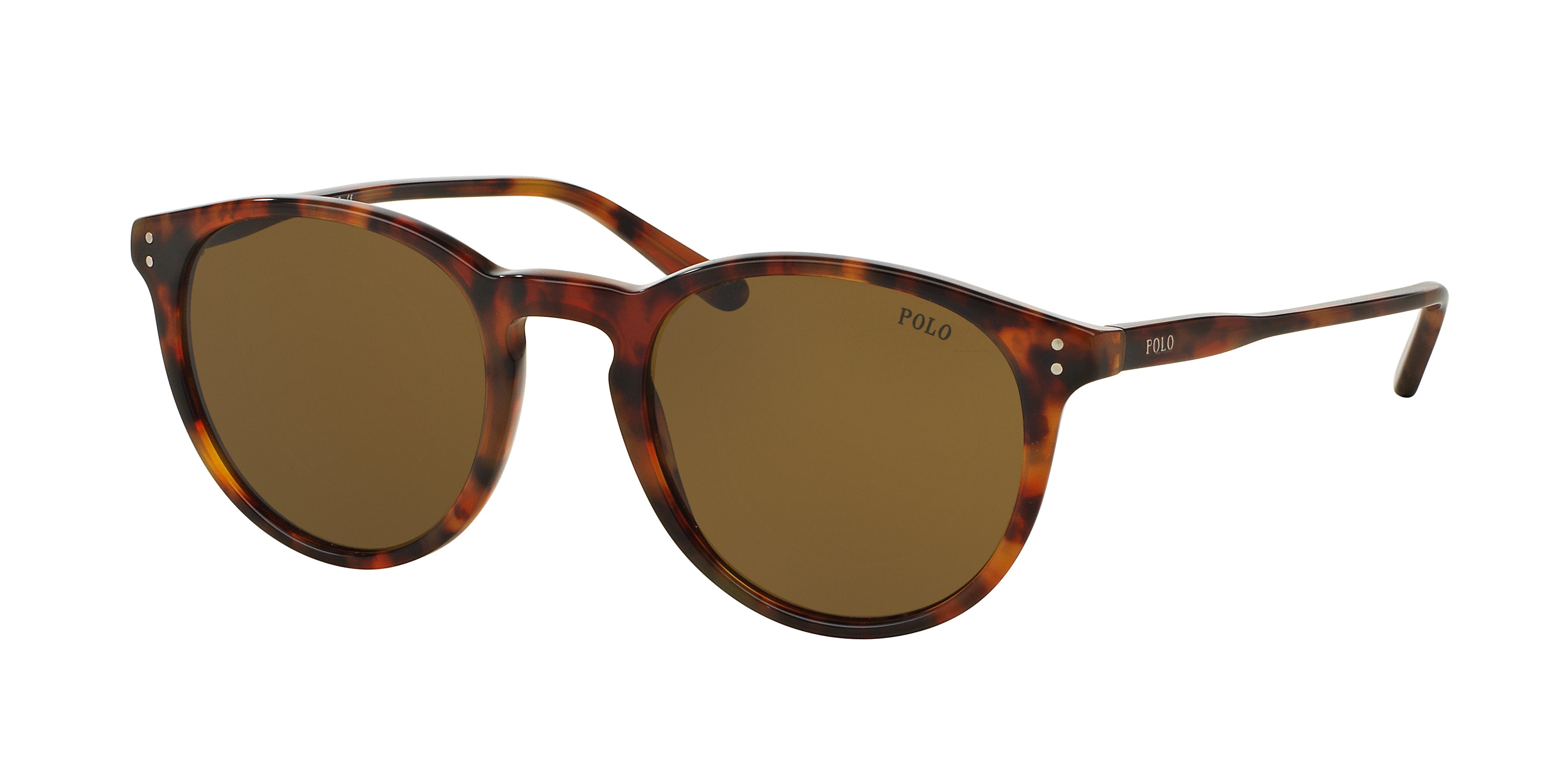 Polo havana glasses store
