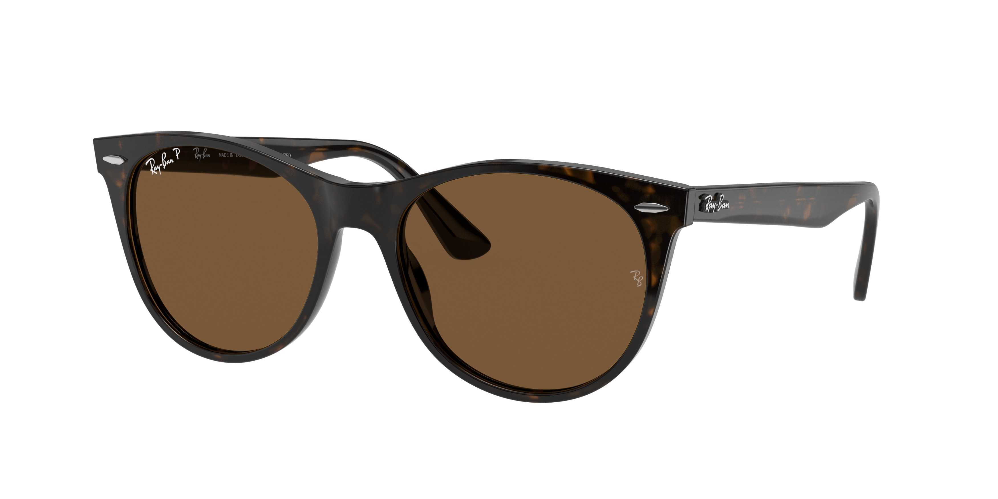 Ray ban wayfarer havana polarized deals