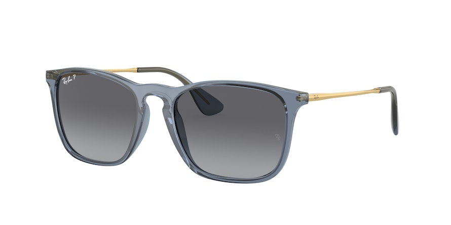 Chris ray ban polarized cheap