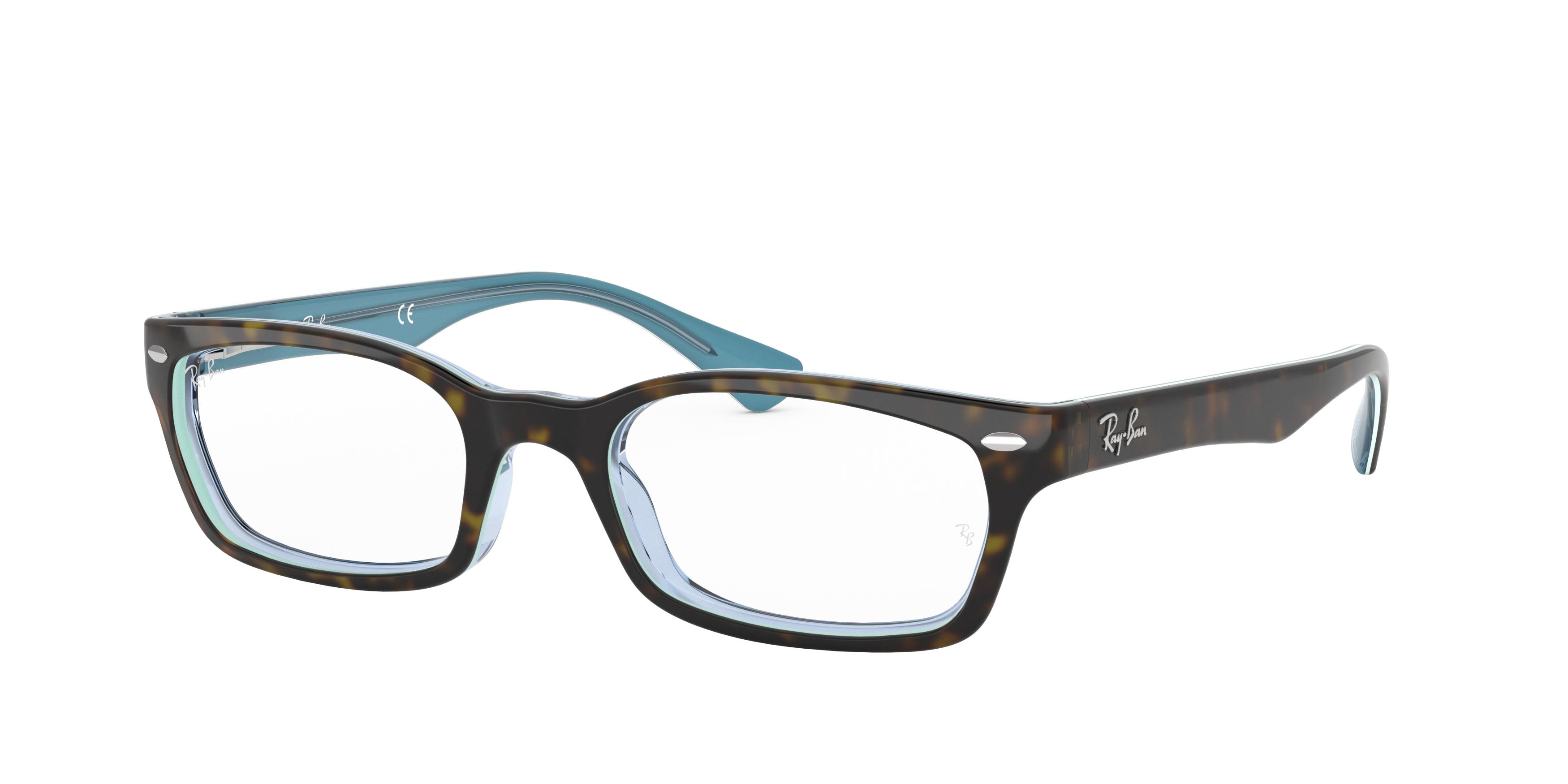 Tortoise ray ban glasses outlet