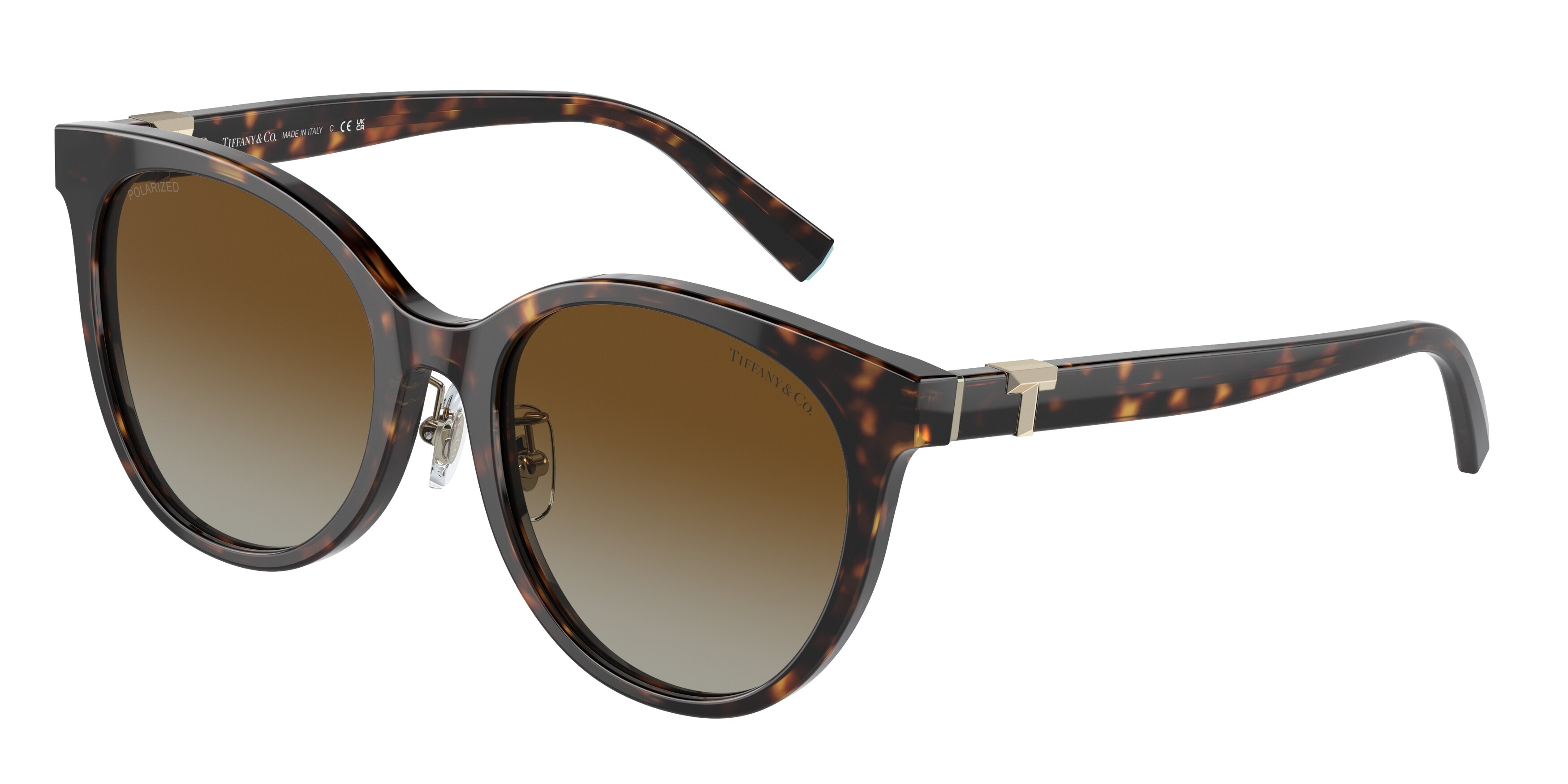 Tiffany sales havana sunglasses